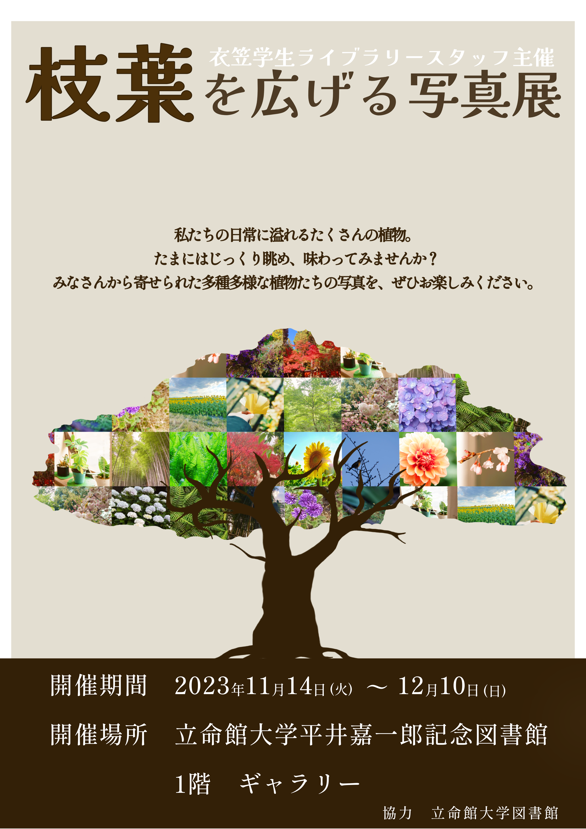 平井嘉一郎記念図書館「枝葉を広げる写真展」のお知らせ